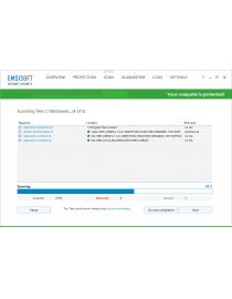 Emsisoft Internet Security(1 year)